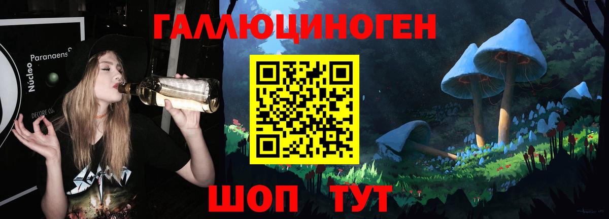Псилоцибиновые грибы Magic Shrooms  Вход с VPN  Междуреченск  цены наркотик  Псилоцибиновые грибы Cubensis 